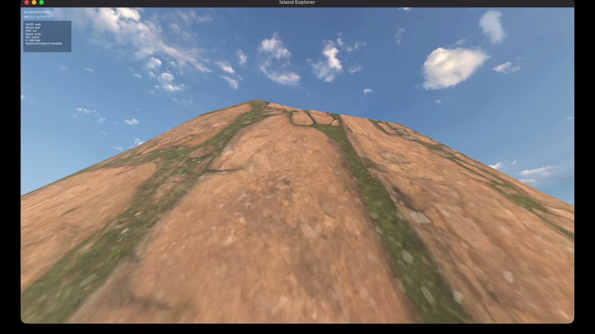 Generated hillside with tree and ocean