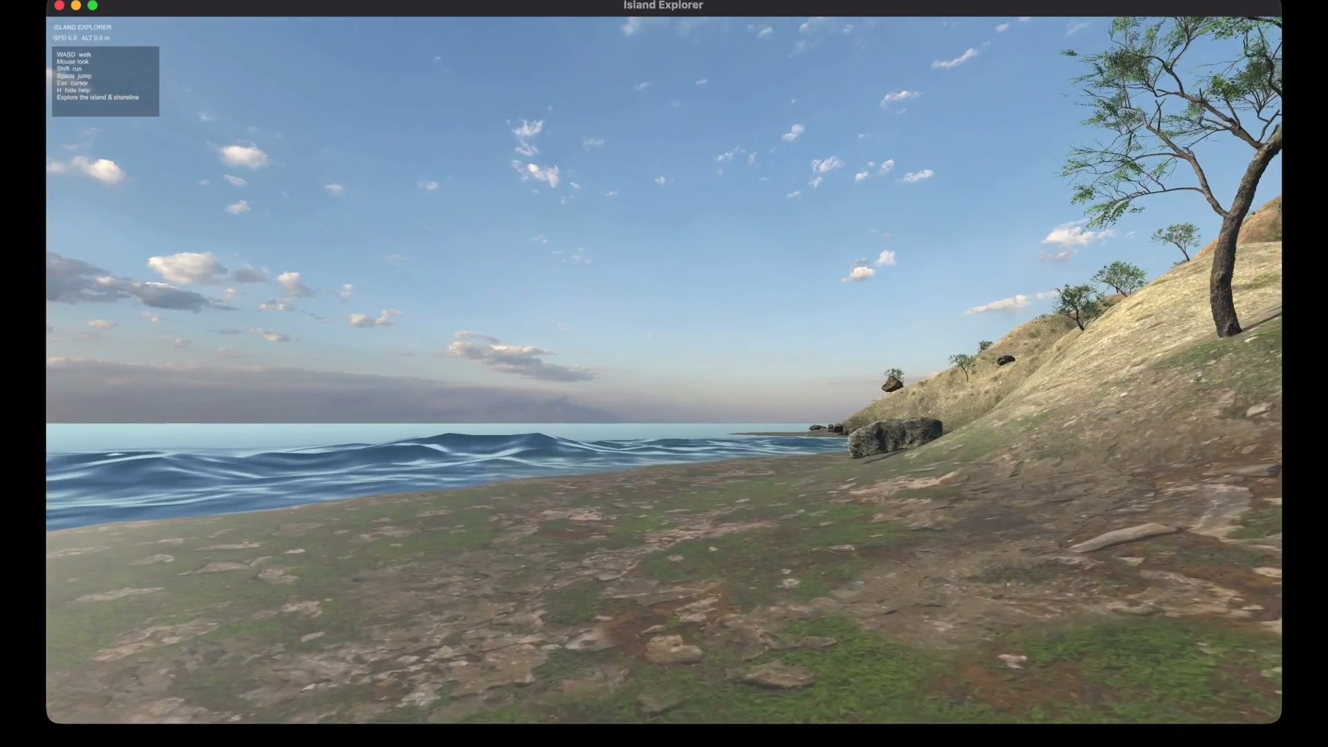 Generated rocky shoreline landscape