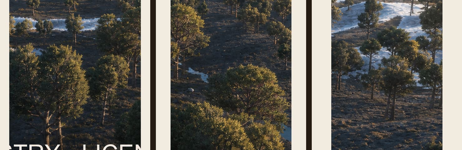 Pine candidate contact sheet